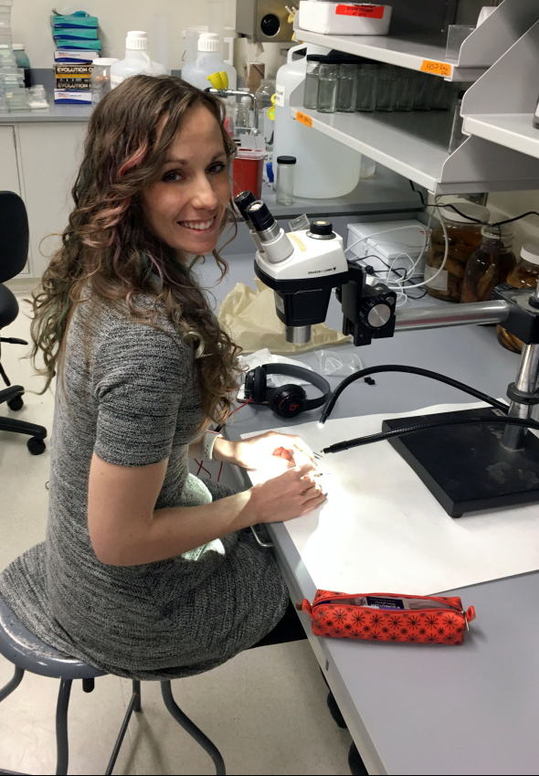 img_5433-e1503520122211