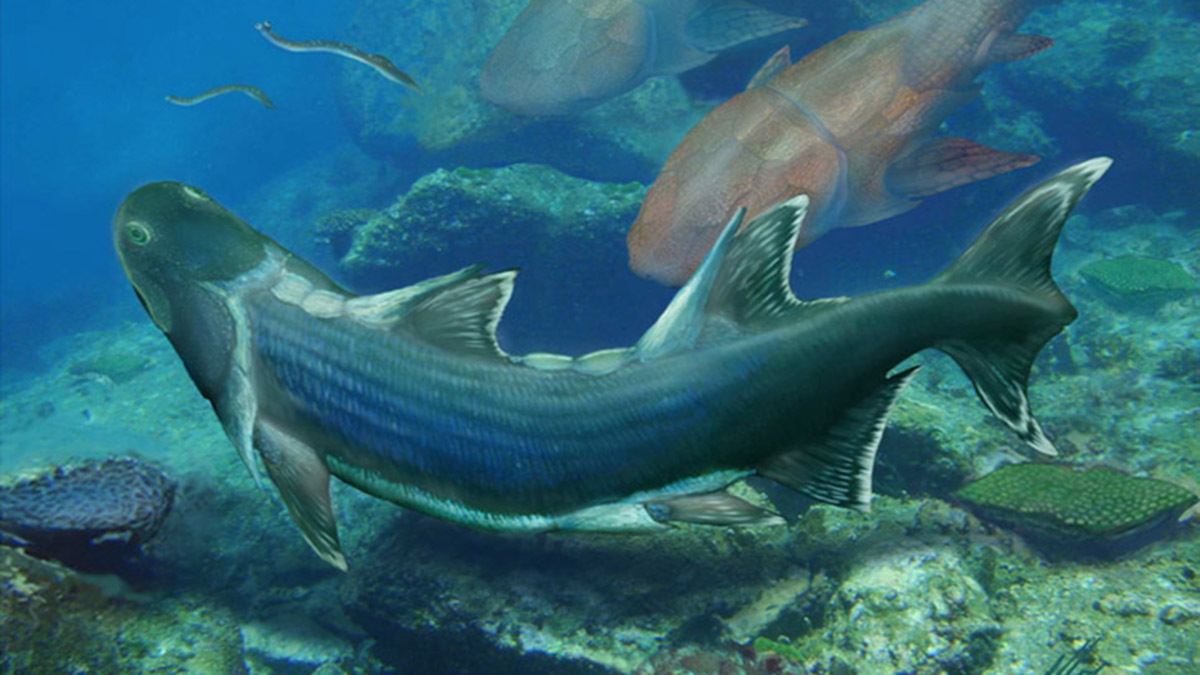 The (Now Older) Age of Fishes: New bony fish from the Silurian of China ...